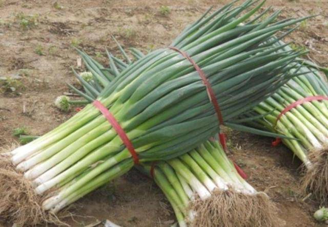 肝不好不能吃大葱?医生:若想养肝,4类食物尽量少碰_肝脏_肝功能_食材