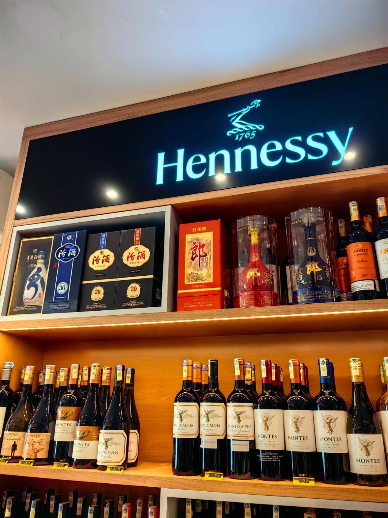 面向未来走向世界郎酒全球找寻微光