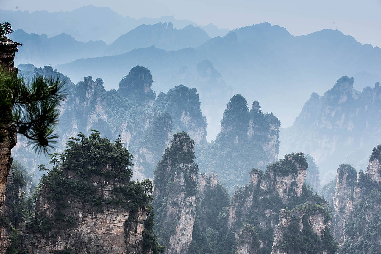 张家界旅游五天四晚,跟团还是自由行?