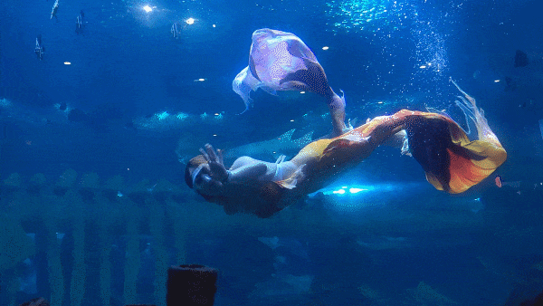 免费优惠西安景区妇女节活动合集