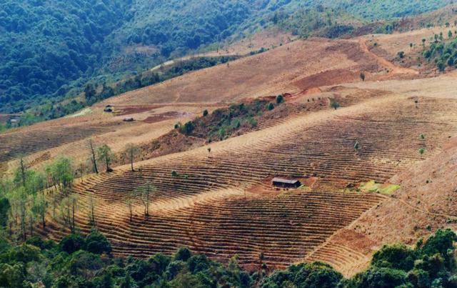 市里奖给我20万,我捐了10万给保山一中,6万给了林场;眼下,你们的母亲