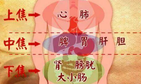 余洪涛:携中医智慧与仁心 守护肝脾之健康 余洪涛:携中医智慧与仁心 守护肝脾之健康