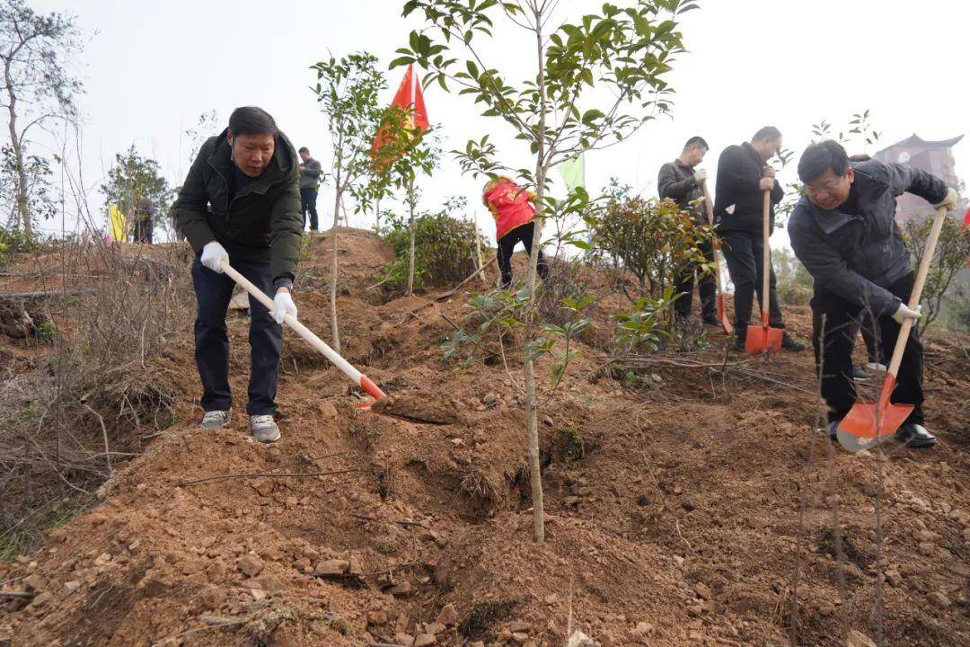 原创鄂城区开展义务植树活动为鄂城大地增添了一抹新绿