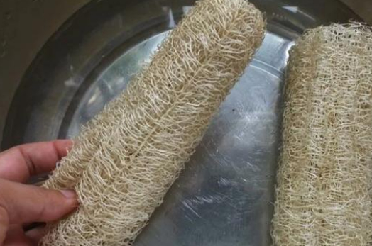 将丝瓜藤洗净切成小段,放入锅内加水和瘦猪肉煮汤,出锅时再加少许的盐