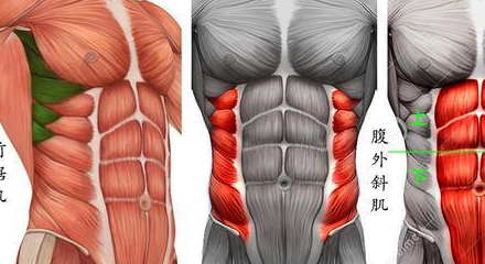 10块腹肌存在吗图片