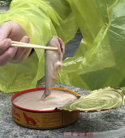 这种鱼产量高,价格便宜,我们常吃的蟹子寿司中的蟹子,也有不少是用多