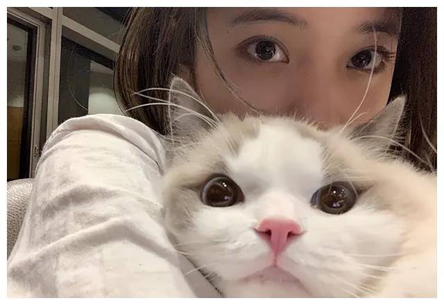 11岁少年大提琴冠军,星途坎坷,绯闻纷扰_娜娜_质疑_明星