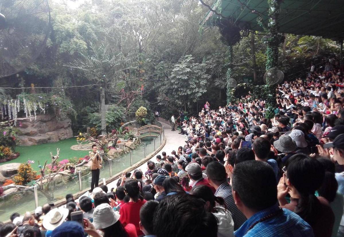 小黑在面试的时候不仅激情饱满,而且还呈现出了对动物极大的热爱,最终