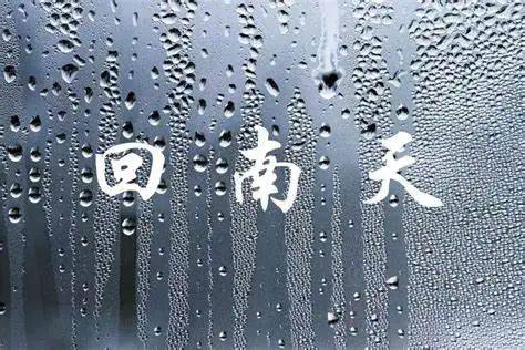 陈皮课堂:回南天过后,新会陈皮该如何防潮保护?_湿度_空气_环境