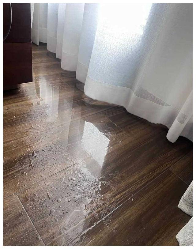 女演员惊呼回南天震撼网友申城天气瞬变逐48小时