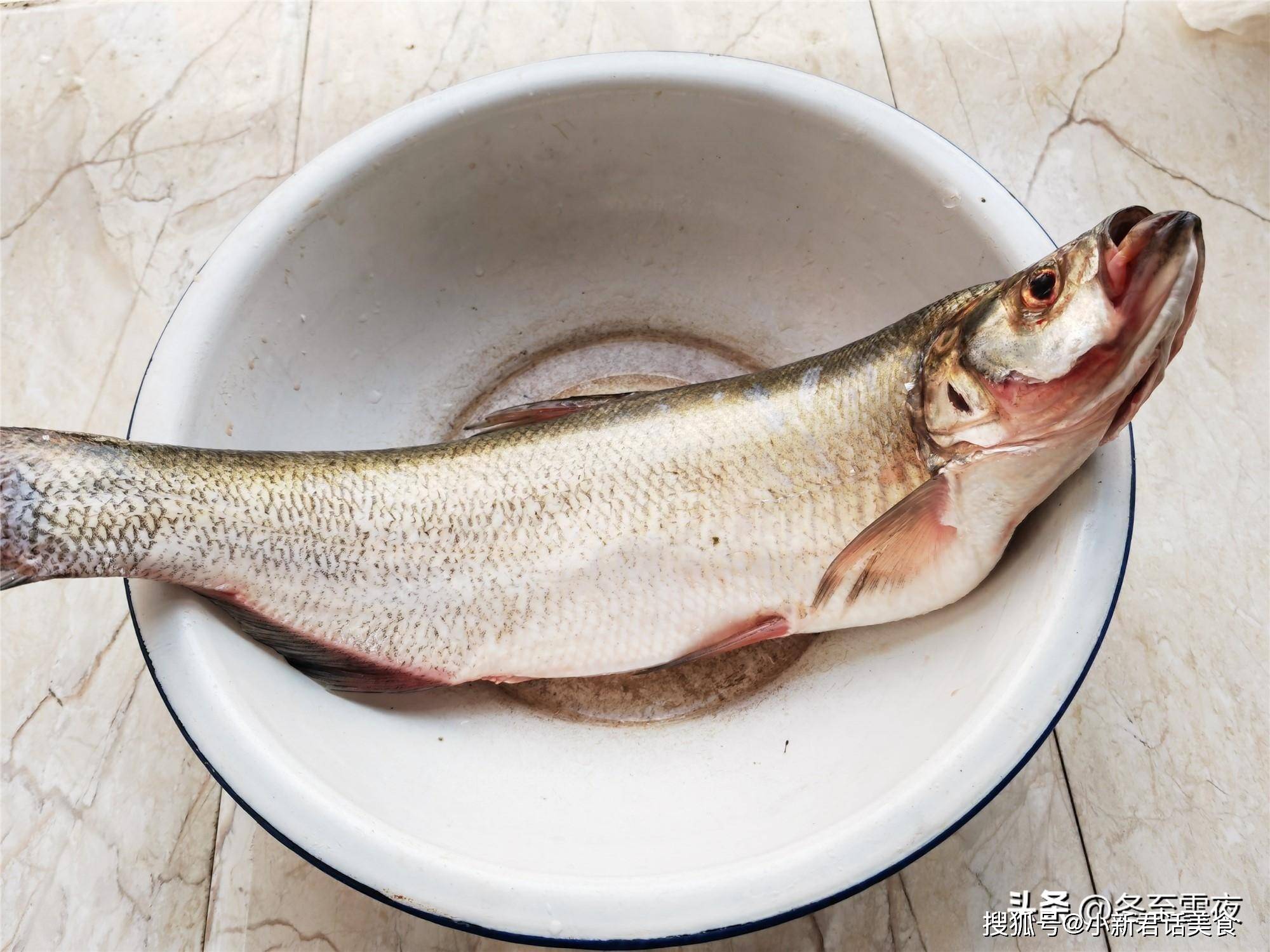 大白鱼怎样做好吃?清蒸做法最好吃,肉嫩味鲜,一点也不腥,好吃