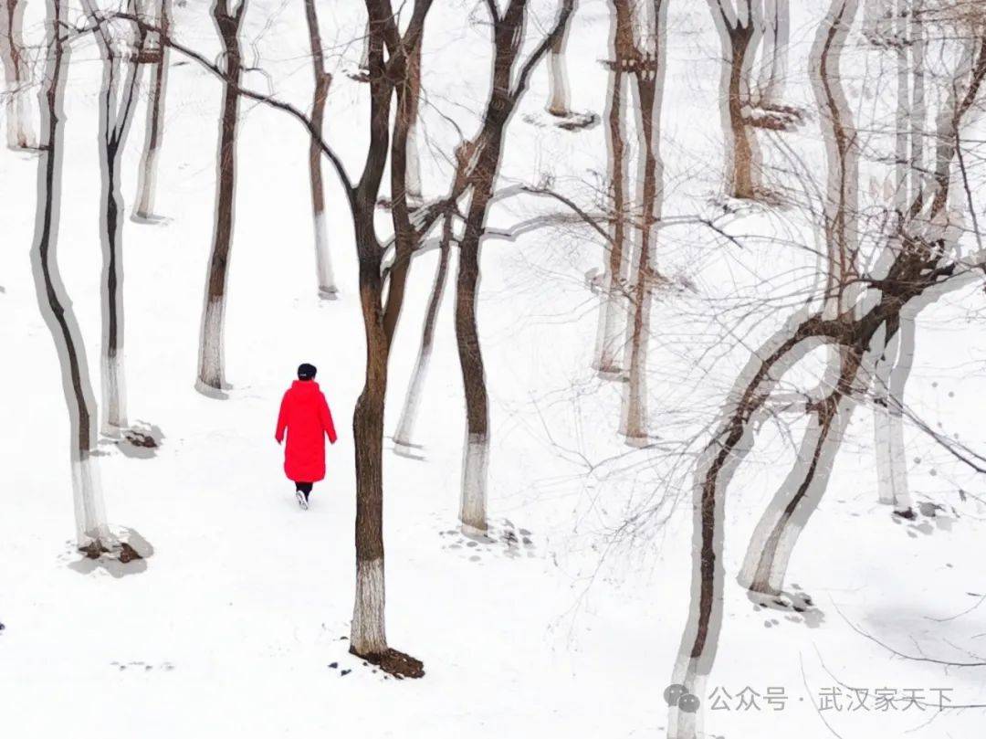 艺术江城若将岁月开成花人生何处不芳华