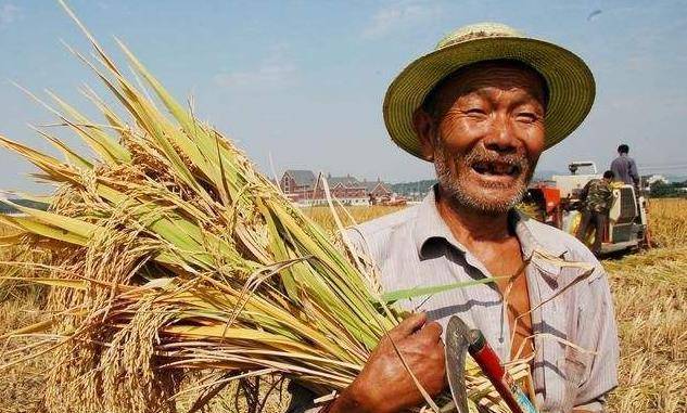 原创男怕八月女怕腊月啥意思老祖宗的生活经验很有趣