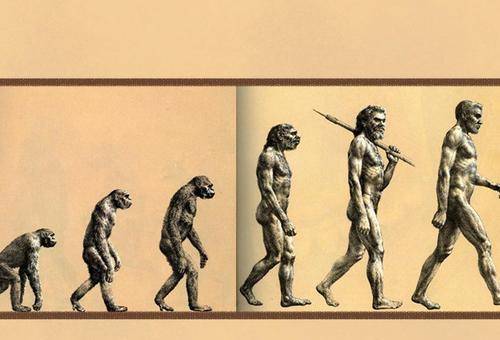 地球上原本没有人,那第一个人从哪来的?人类文明是如何发展的?_进化论