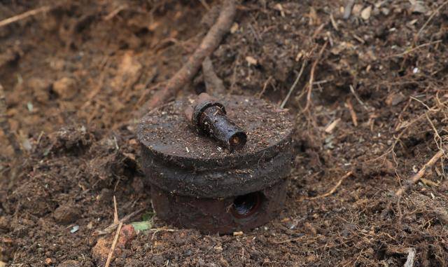 马茂生很快摸出来这是野猪腿,他猜测这只野猪可能是被地雷炸死的.