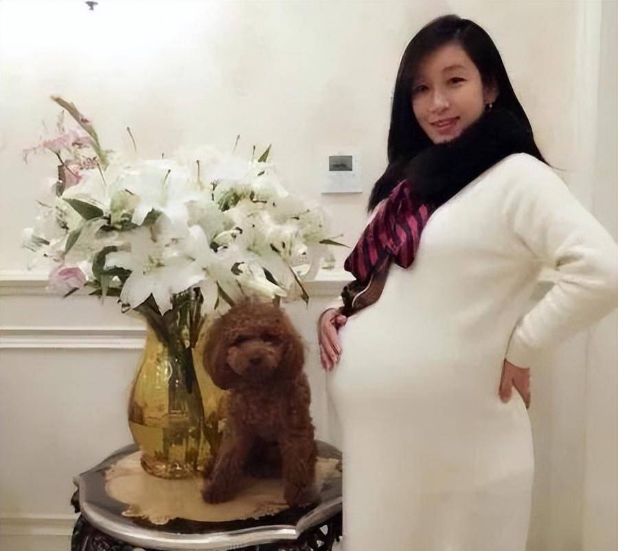 原创秦海璐被相恋4年的李厚霖分手36岁嫁二婚的王新军后苦尽甘来