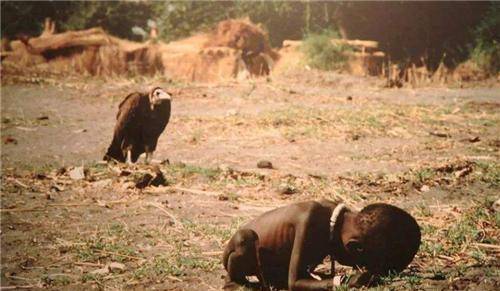 我们先开看看这张照片,名字叫《饥饿的苏丹》,苏丹不是人名,而是非洲