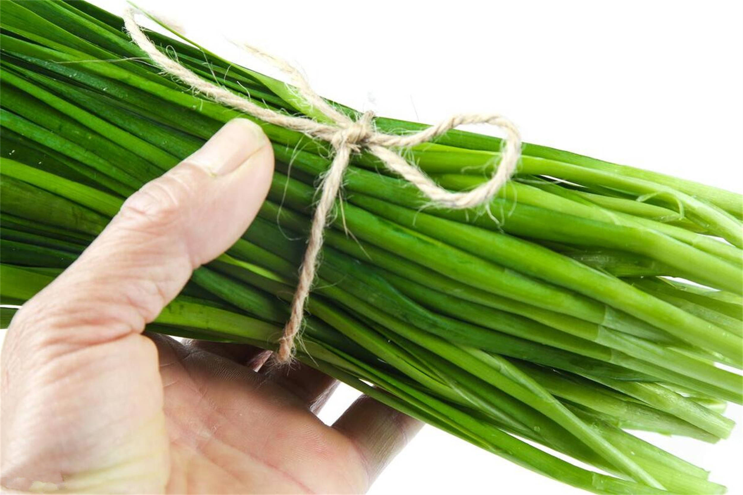 原创春天吃韭菜紫根和白根差别大了哪种好建议多了解