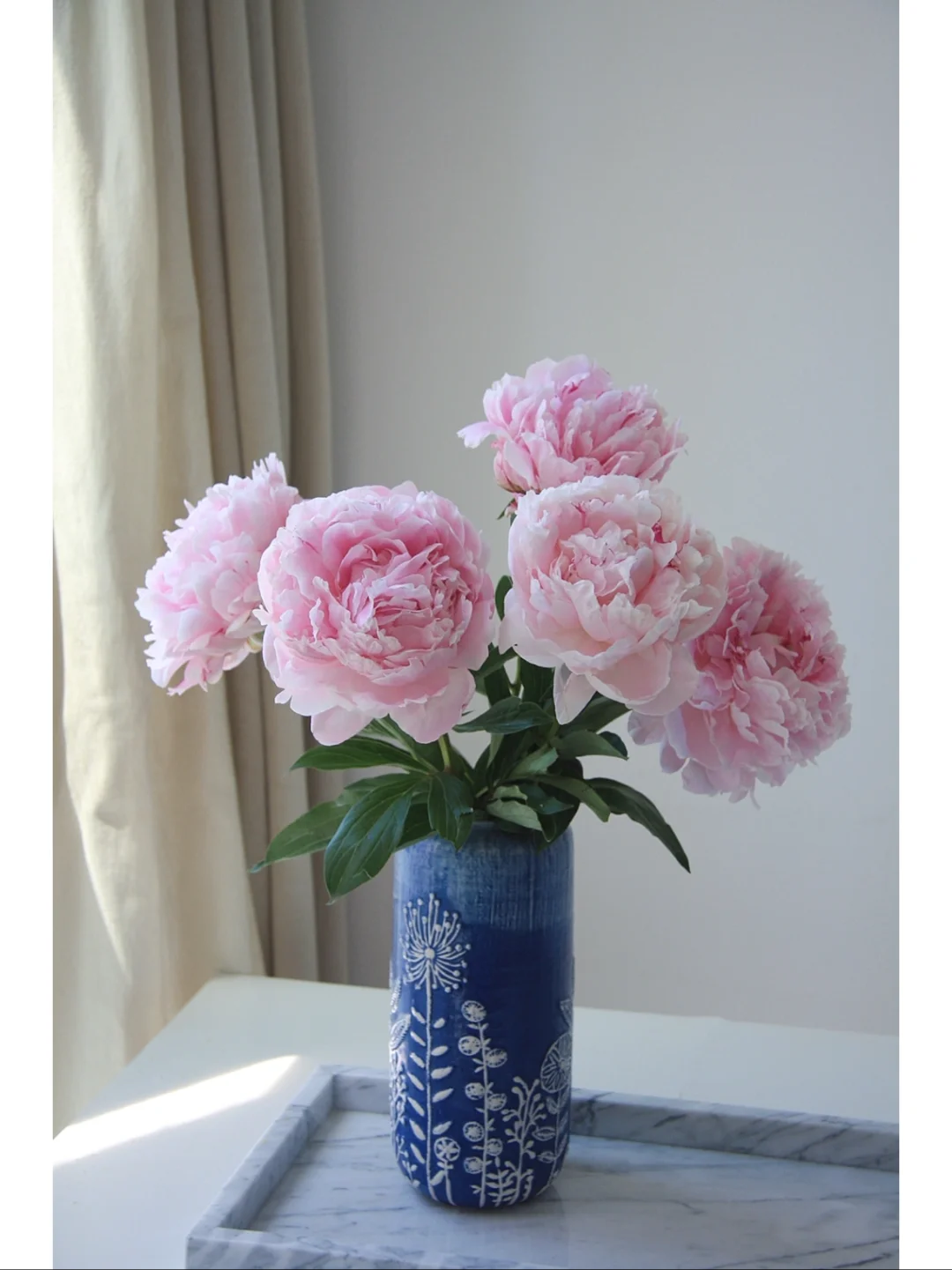 芍药季:花将入市,其名将离_花瓣_莎拉_养护