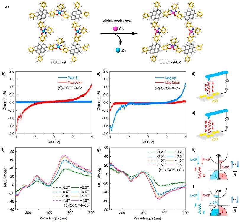 强上交大崔勇团队一天两篇jacs