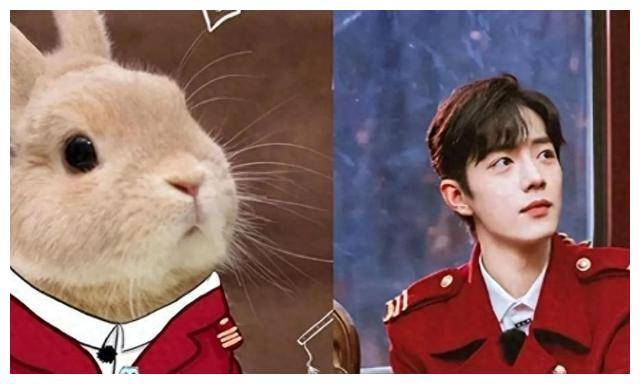 这5位男星撞脸动物,惊呆肖战王一博!孙红雷见笑不活_眼睛_网友_兔子