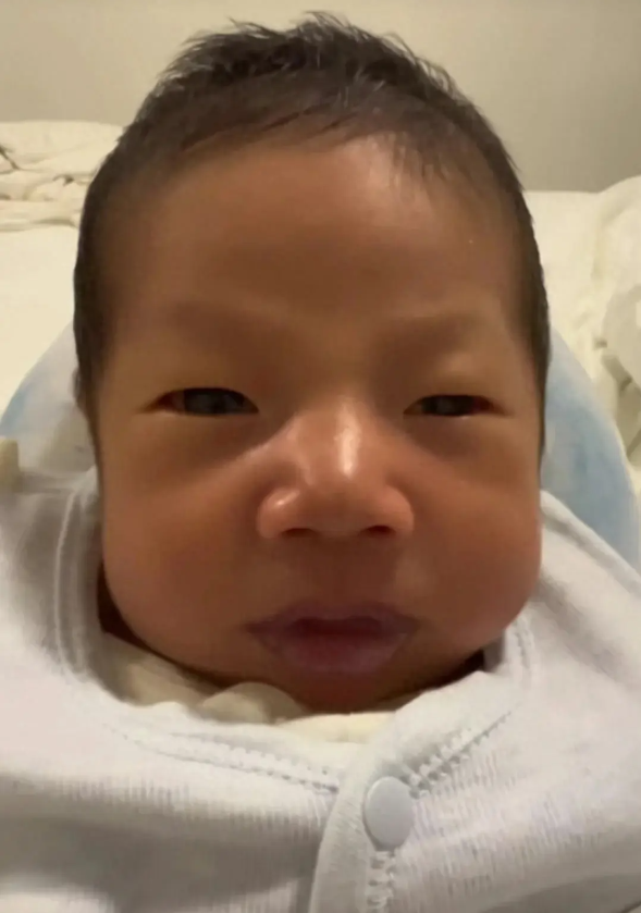 原创笑死个人撒贝宁18天的新儿子曝光小尼这下终于对上了