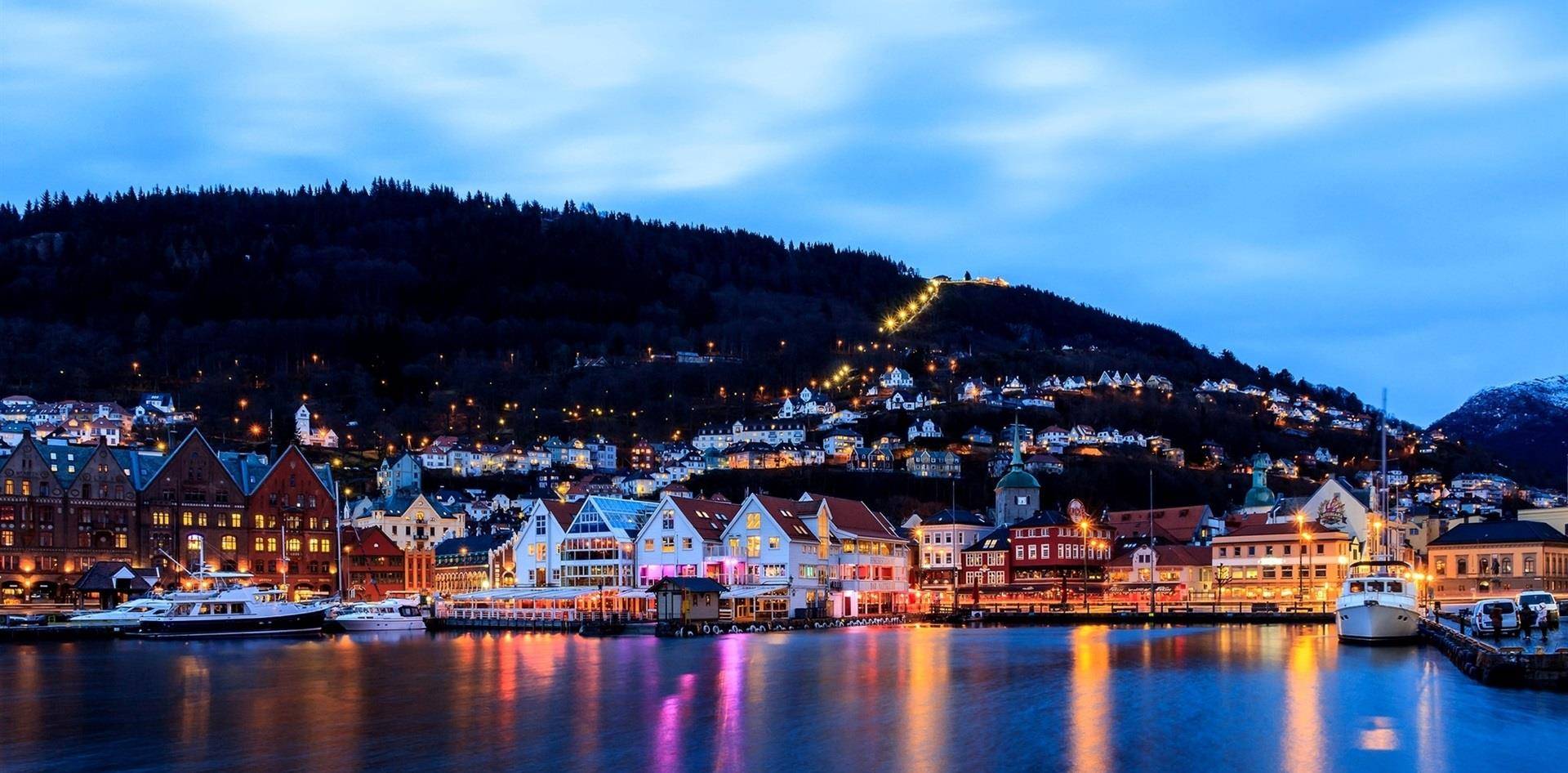 国土狭长的四个国家,有一个和我国接壤,另外三个经济发达_挪威_日本