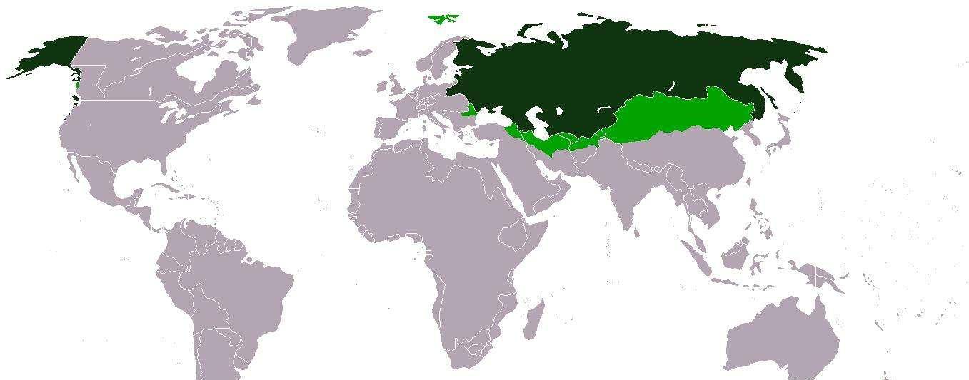 原创德国崛起近现代史最大地缘政治灾难迷雾背后谁主沉浮