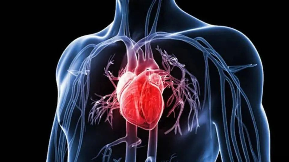 原创心源性休克心脏发出求救信号了掌握5大预防策略守护生命