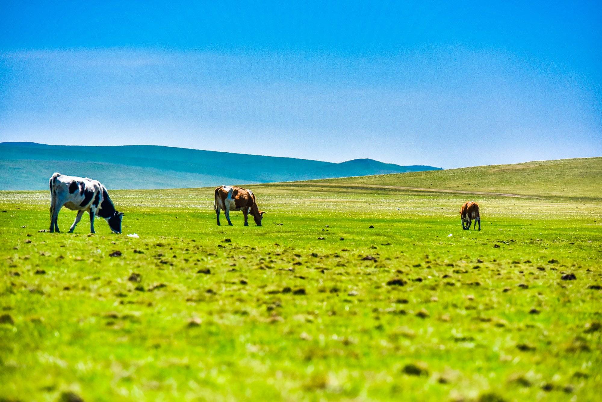 内蒙古满洲里6天自由行攻略路线,内蒙阿尔山六日游跟团价格_前往_旅游
