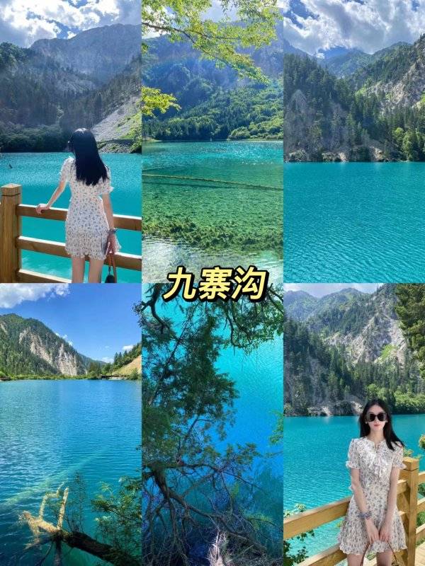 林子_峨眉山_九寨沟