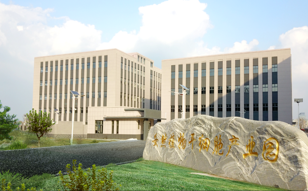 安然集团以植物干细胞技术勇立潮头跑出新质生产力加速度