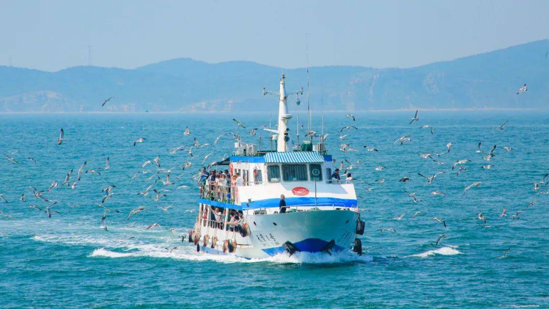 万鸟岛-高山岛位于美丽的长山列岛之中,这里栖居着几万只黑尾鸥,海