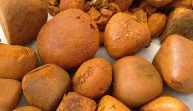 原创猪肚子里发现宝贝价值超过黄金专家却说就是块结石