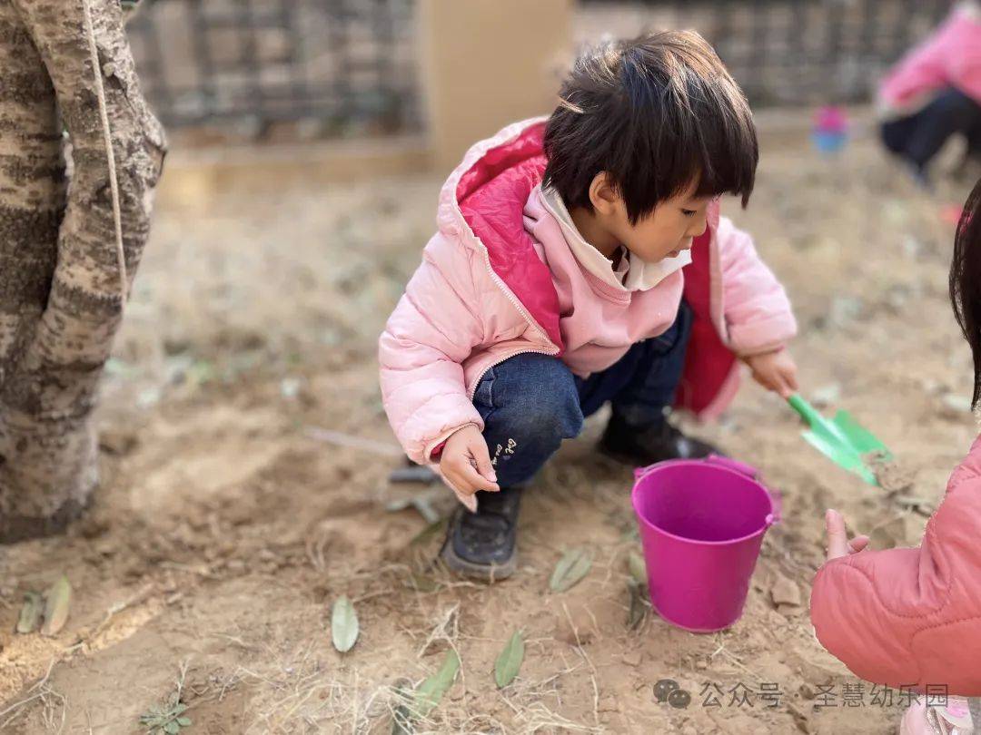 予世间美好——圣慧幼儿园植树节主题活动