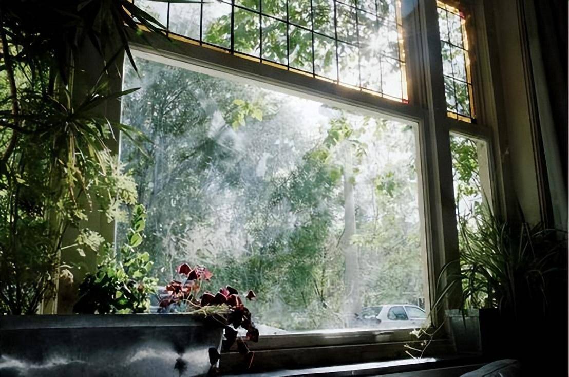 原创南宋词人苏庠的十首诗词其诗词明朗爽洁多描写闲适生活