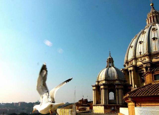 原创梵蒂冈只有500多人口却和200多国家建交哪来那么多外交官