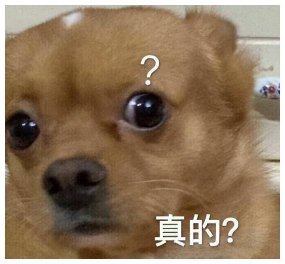 放下心中的困惑释然前行驶向新篇章