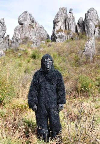 神农架深处为何不让人前往,和其中的神秘故事有关吗?_野人_传奇_村民