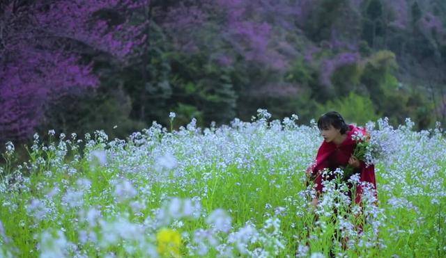 原创李子柒新作太诗意穿红色斗篷骑马梦回东宫鲜花做点心超棒