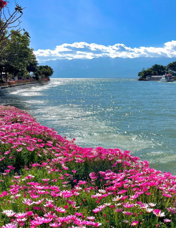 云南34月的攻略云南九天的行程安排整理出来了记得收藏码住