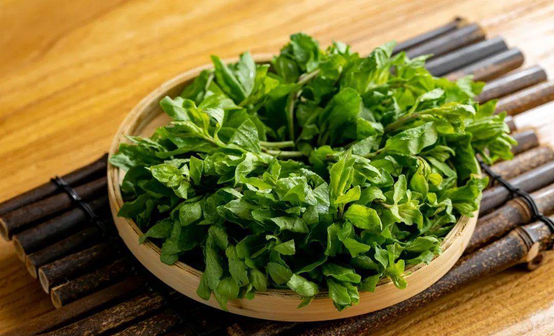 现在吃正是时候!_香椿_韭菜_芦笋