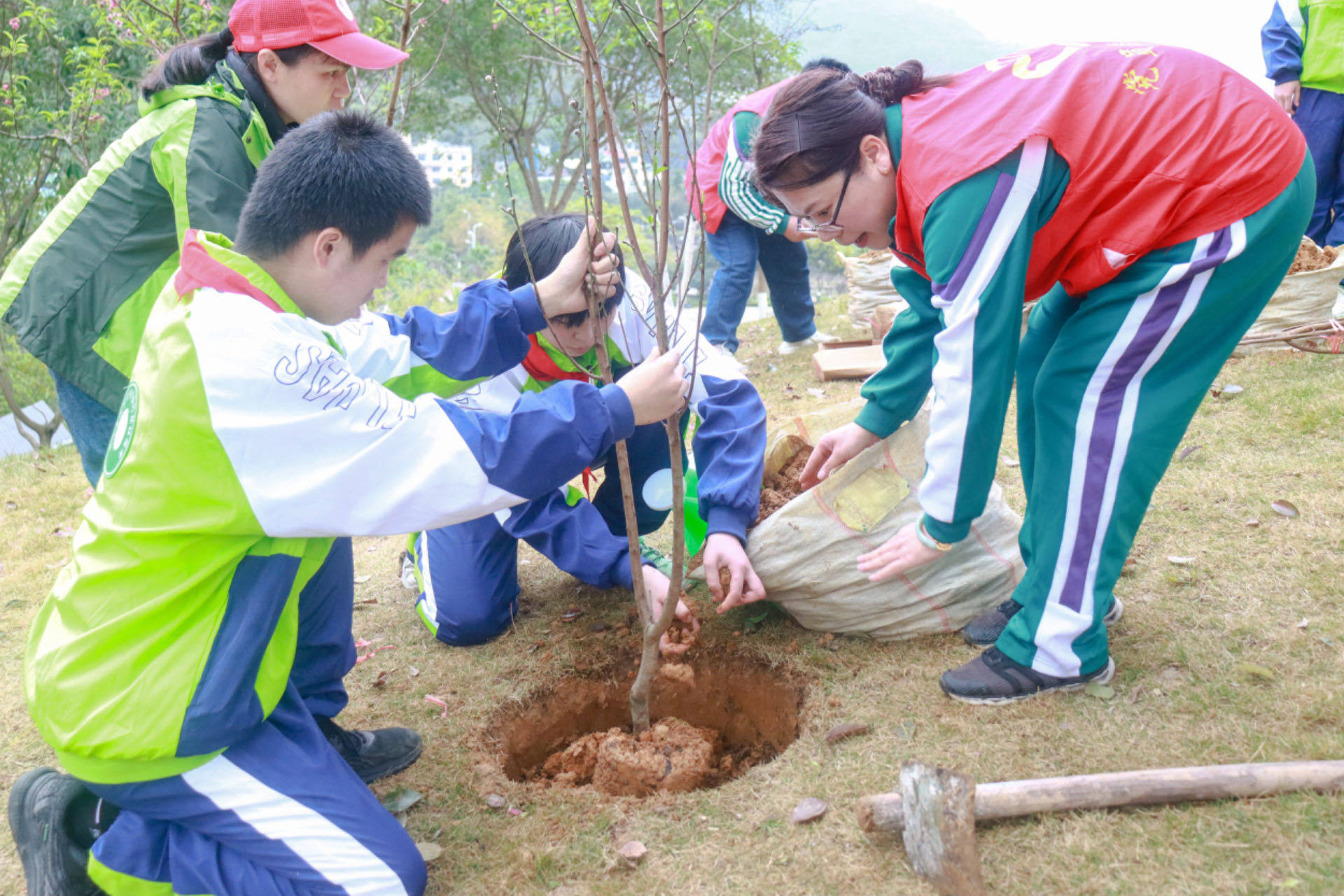 河池市特殊教育学校图片