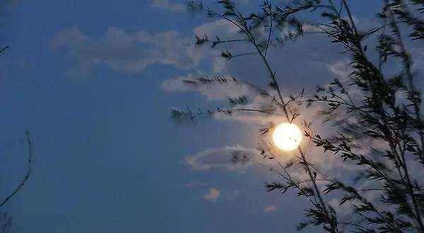 原创非著名诗人写下最美夜月诗第二句意境超美却有文人吹毛求疵