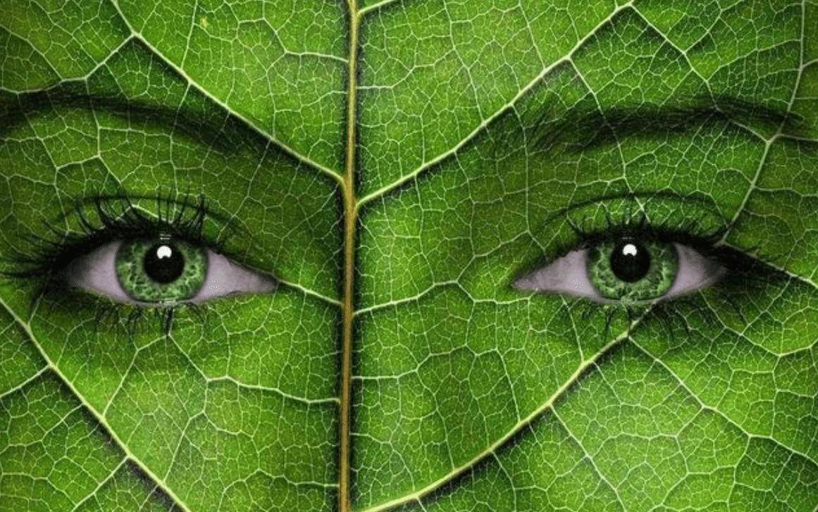 原创血液皮肤皆是绿色曾一度被误认为是外星人仅存3000人