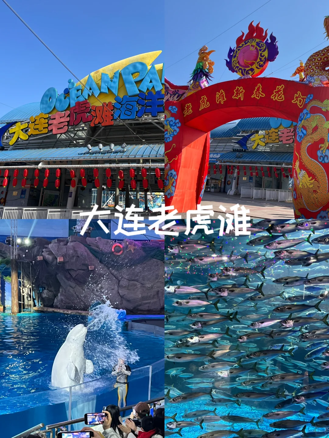 到大连玩7天大概花多少钱大连棒棰岛7天旅游费用15k多花销省钱攻略