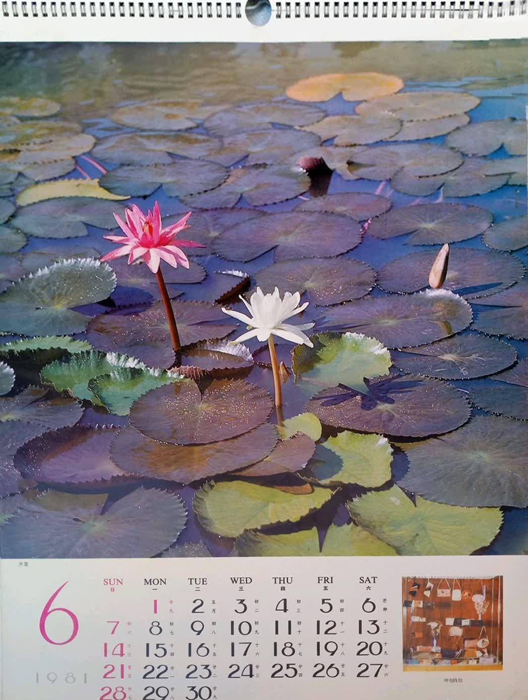 原创1981年挂历画封面人物李仁堂周晓兰女歌手张瑜赵娜