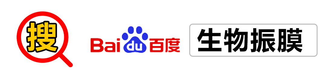 它是我听过音质最好耳机,双飞燕Biosong生物丽声蓝牙耳机