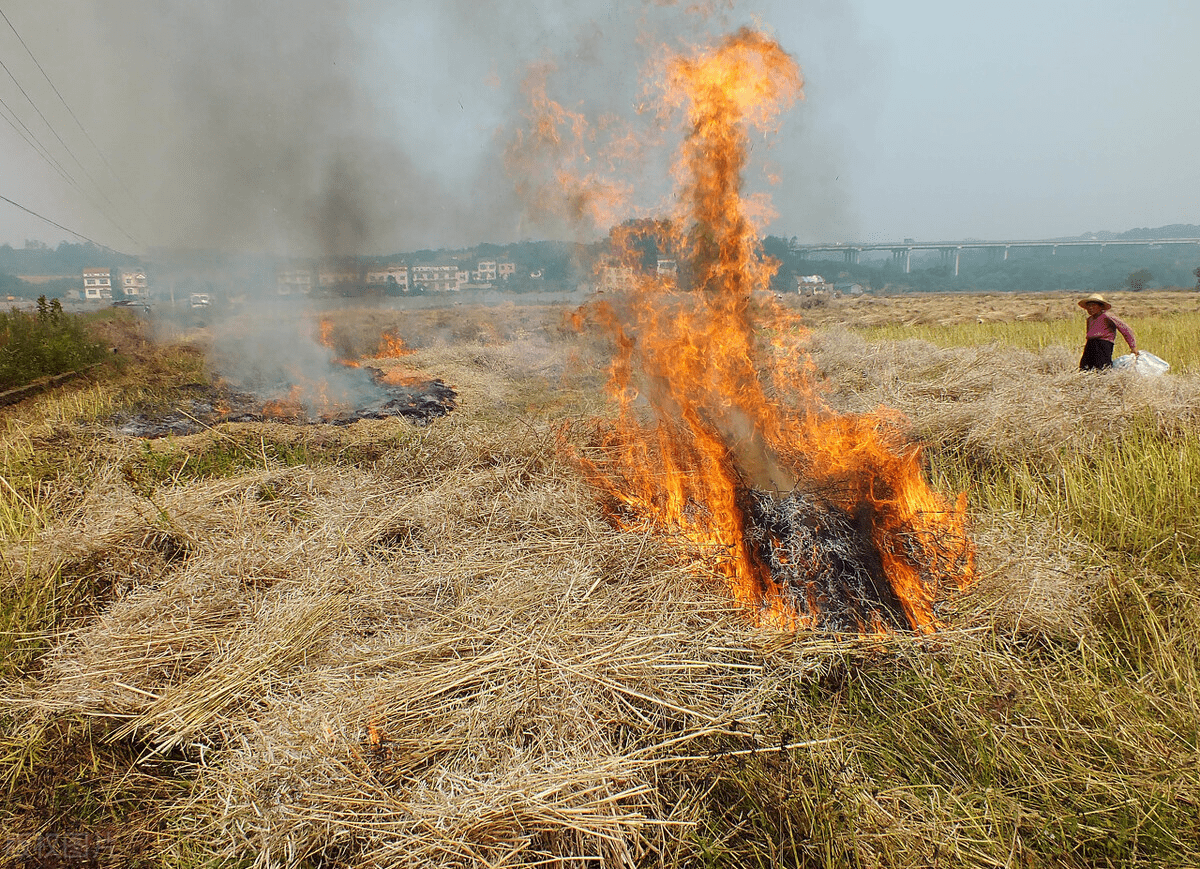 欧美国家可以随便烧秸秆,为什么中国禁止?是不是上了别人的当?