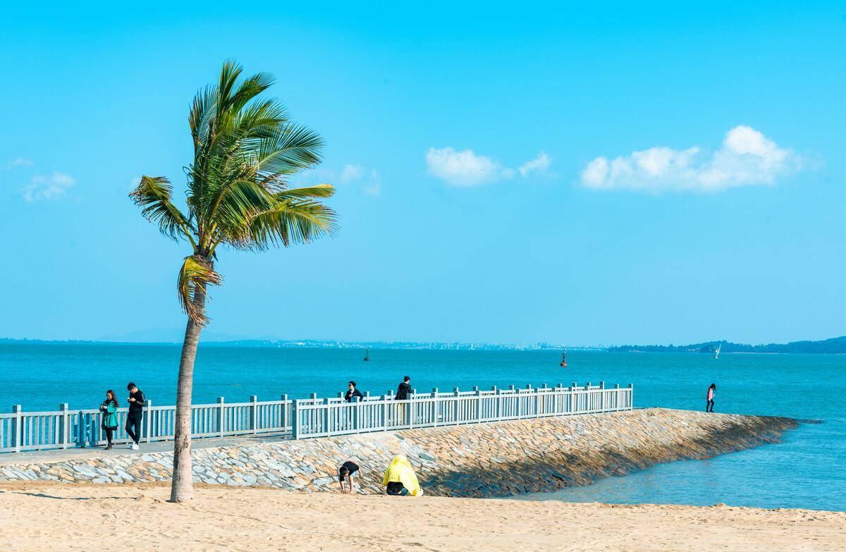 厦门环岛路一日游怎么玩,厦门环岛路1日游攻略,不踩雷路线攻略